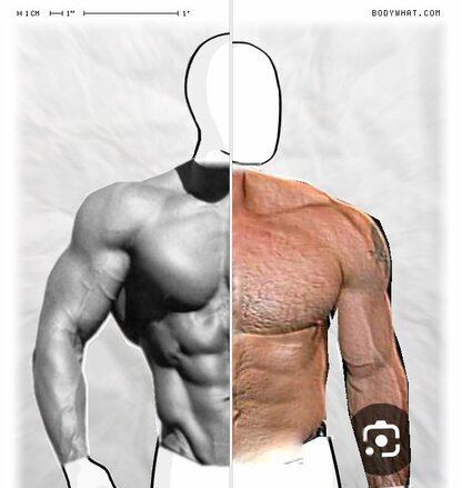 Torso Comparison