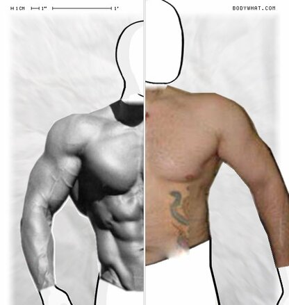 Torso Comparison
