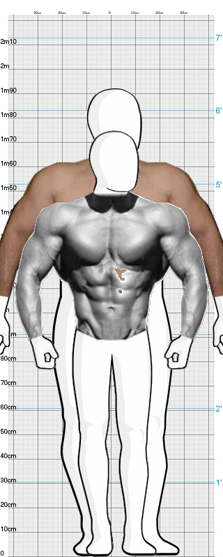 Full Size Comparison