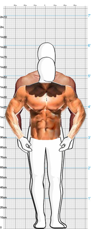 Full Size Comparison