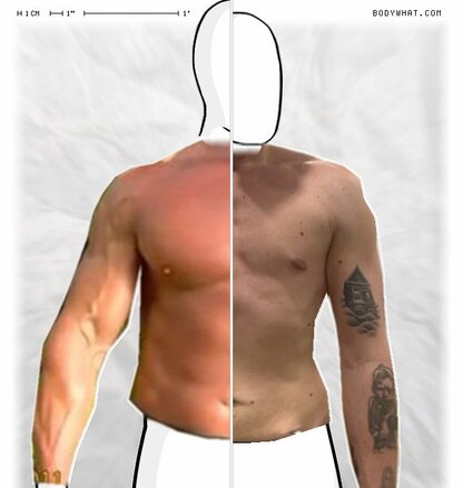 Torso Comparison