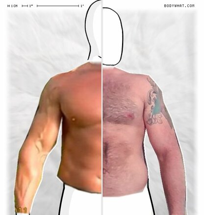 Torso Comparison