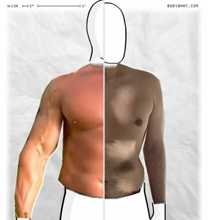 Torso Comparison