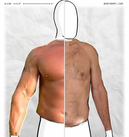 Torso Comparison