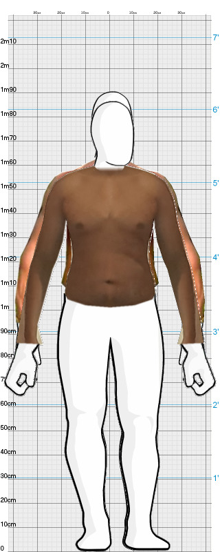 Full Size Comparison