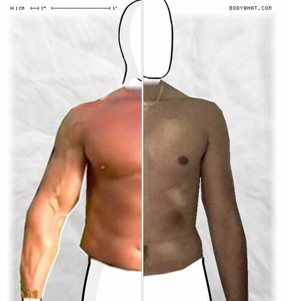 Torso Comparison