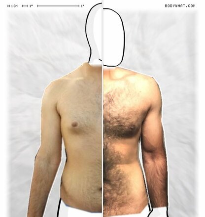 Torso Comparison