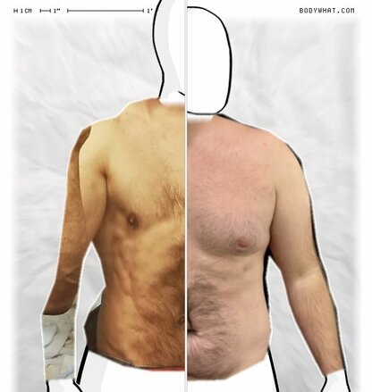 Torso Comparison