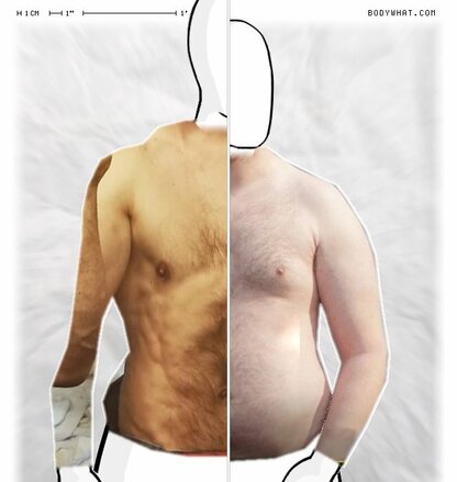 Torso Comparison