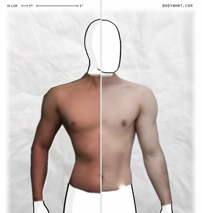 Torso Comparison