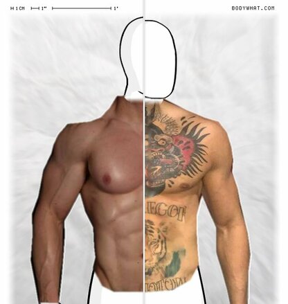 Torso Comparison