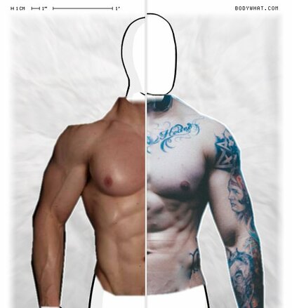 Torso Comparison