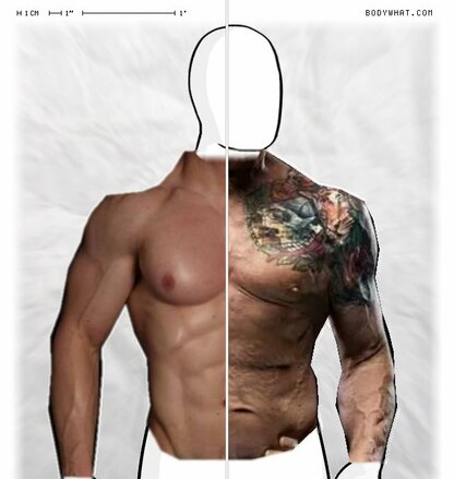 Torso Comparison