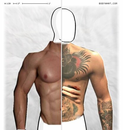 Torso Comparison