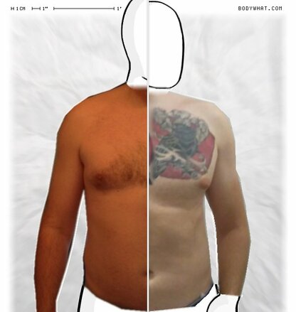 Torso Comparison