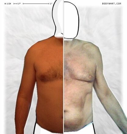 Torso Comparison