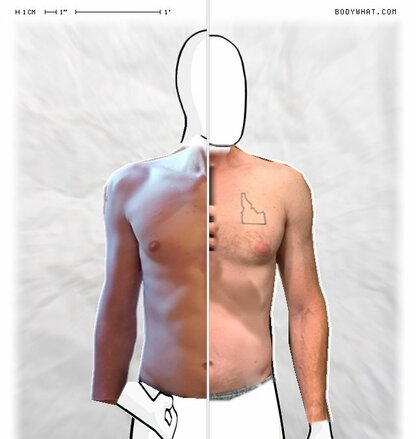 Torso Comparison