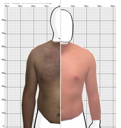 Torso Comparison