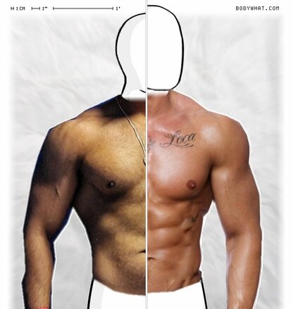 Torso Comparison