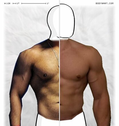 Torso Comparison