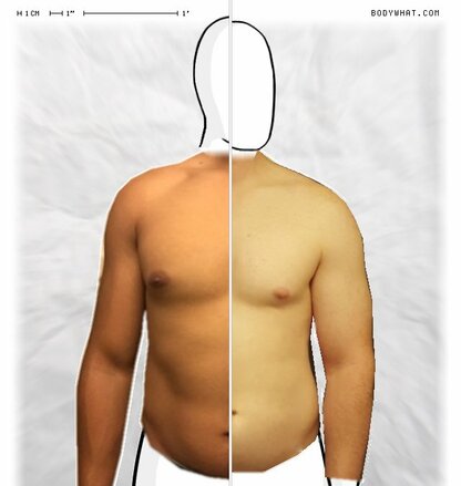 Torso Comparison