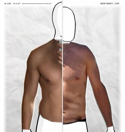 Torso Comparison