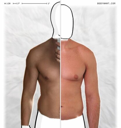 Torso Comparison