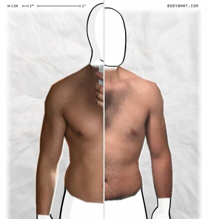 Torso Comparison