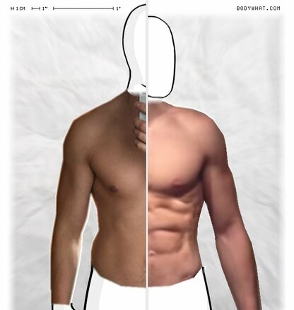 Torso Comparison