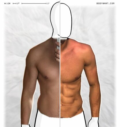 Torso Comparison