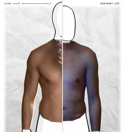 Torso Comparison