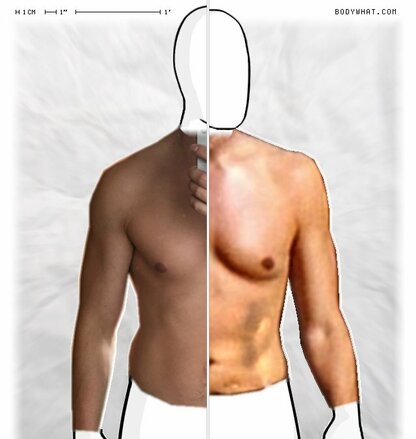 Torso Comparison