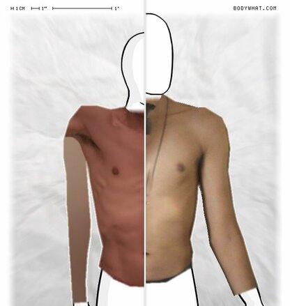 Torso Comparison