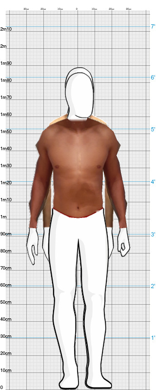 Full Size Comparison