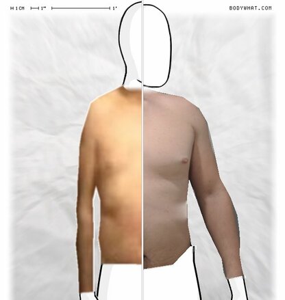 Torso Comparison