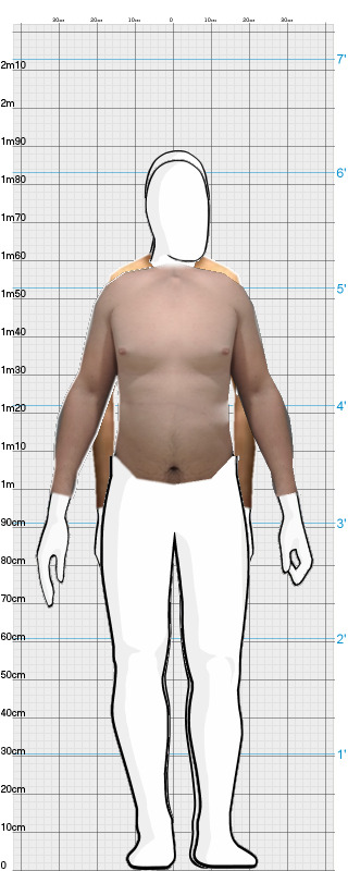 Full Size Comparison