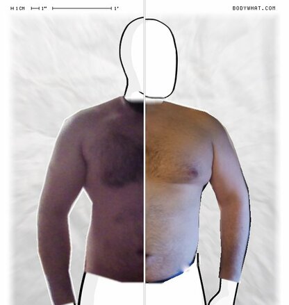 Torso Comparison
