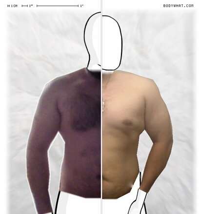 Torso Comparison