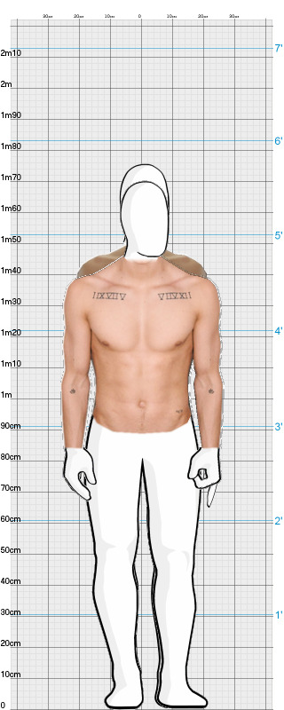 Full Size Comparison