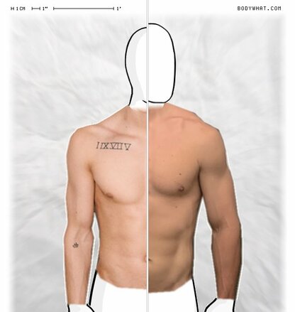 Torso Comparison
