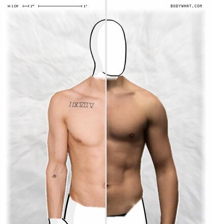 Torso Comparison