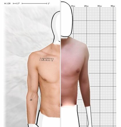 Torso Comparison