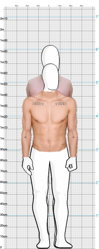 Full Size Comparison