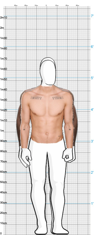 Full Size Comparison