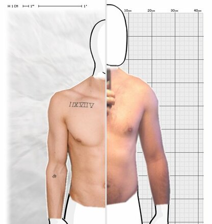 Torso Comparison