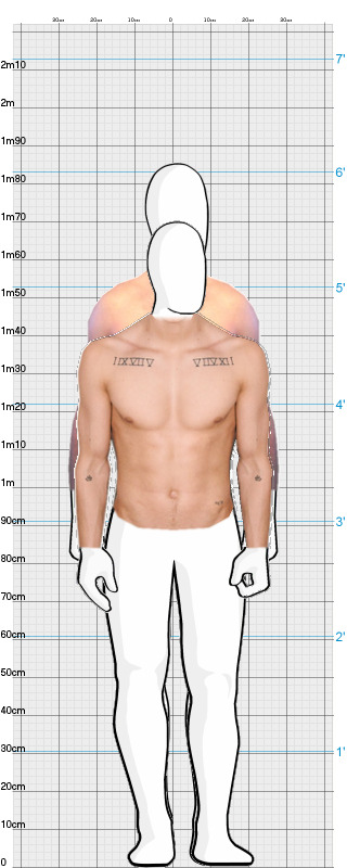 Full Size Comparison