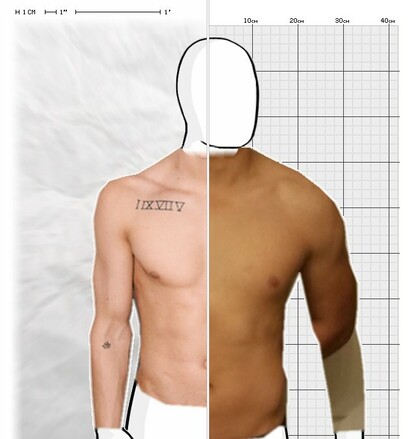 Torso Comparison