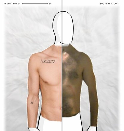 Torso Comparison
