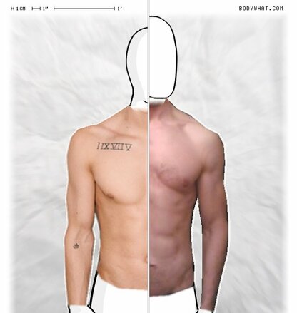 Torso Comparison