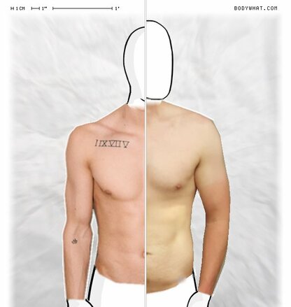 Torso Comparison